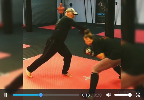 Kampfsport Akademie Combatstyle Mühlheim - Offenbach - Hanau